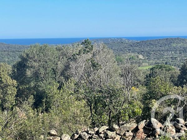 Terrain à vendre  3800 m2 PORTO VECCHIO - 201
