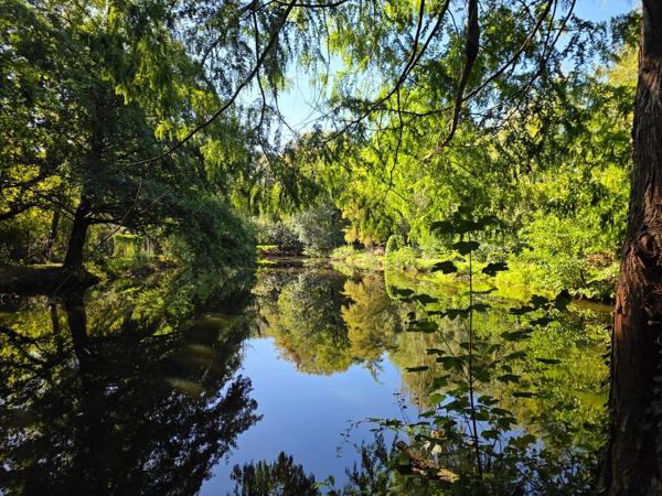 Vente                                                      Terrain
                        
                                         7718 m2                     à Laniscourt