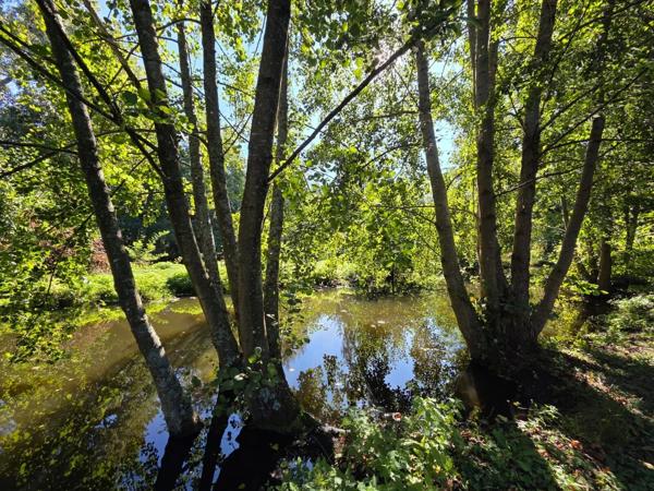 Vente                                                      Terrain
                        
                                         7718 m2                     à Laniscourt