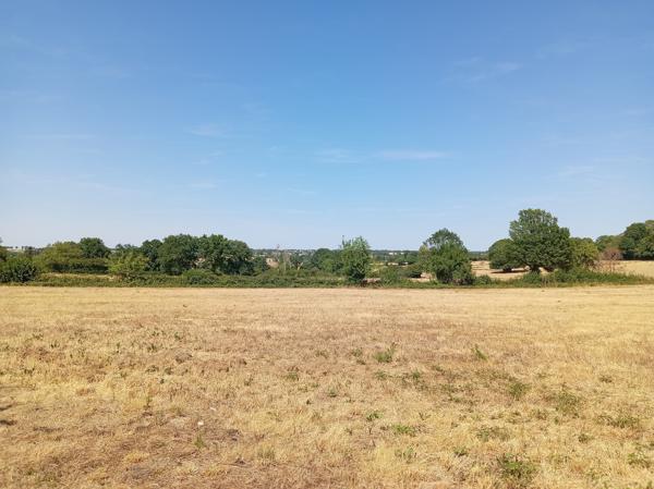 Maison de campagne avec 1.3 hectares