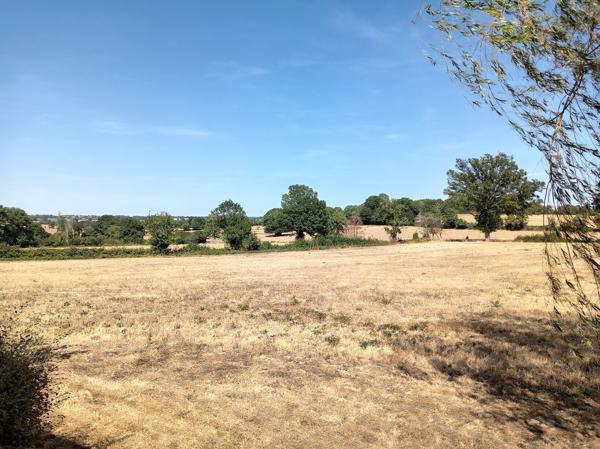 Maison de campagne avec 1.3 hectares