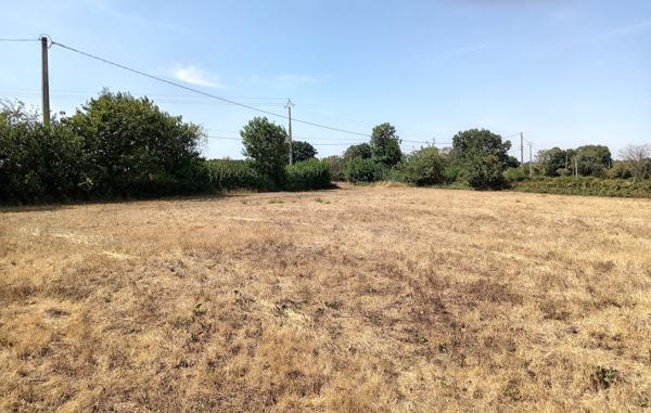 Maison de campagne avec 1.3 hectares