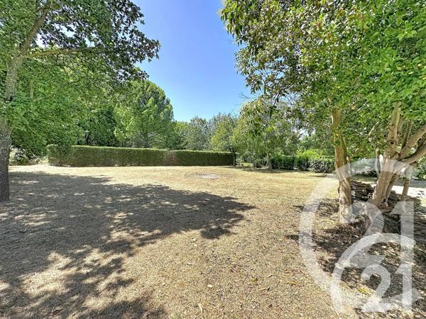 Terrain à vendre  1000 m 2   CARPENTRAS  - 84
