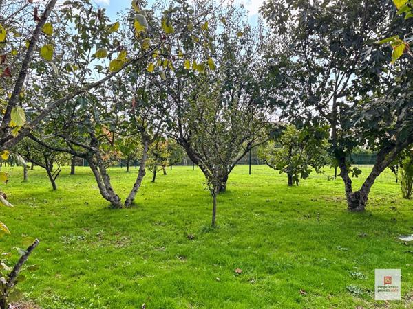 Maison La Chapelle D Aligne 8 pièce(s) 250 m2