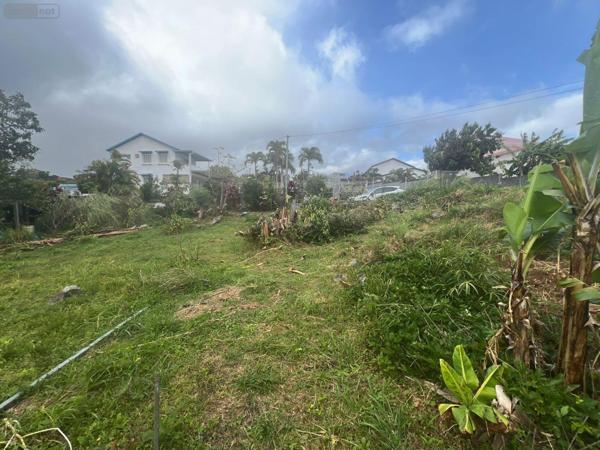 Terrain à Batir à vendre à Sainte-Marie à la Réunion (97438), ref : 97405/204   
Montée Sano