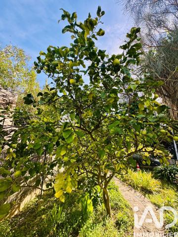 Appartement à vendre 3 pièces 79 m² Vallauris