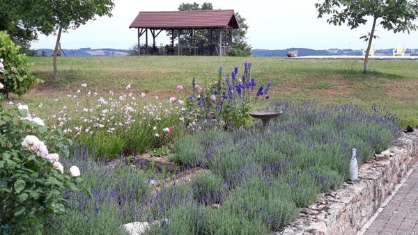 SUPERBE PROPRIETE AVEC GITE 3 ETOILES ET VASTE TERRAIN DE 6250 M2