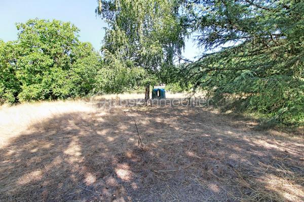 St Jean du Bruel. Terrain constructible de 2070 m², plein cente du village tout commerce dans la vallée de la Dourbie; Réseaux en bordure, terrain plat, avec dans sa partie basse un ruisseau. Votre contact Guy JAYET au 0611566624