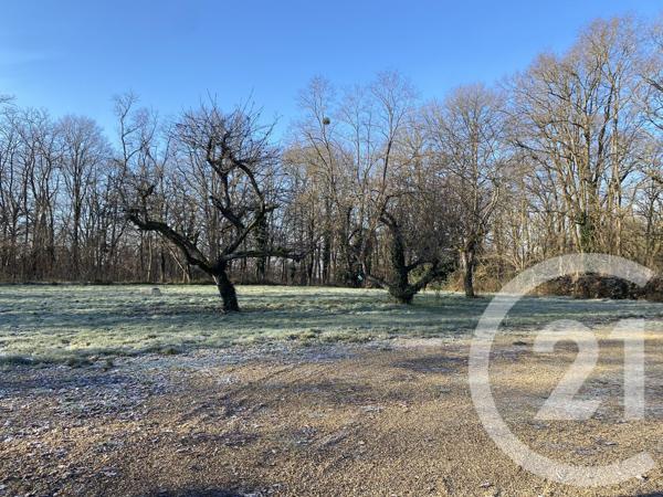 Maison à vendre  3 pièces - 36,80 m2 LES BORDES - 45