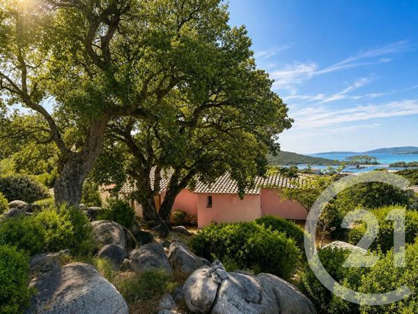 Maison à vendre  5 pièces - 143 m 2   ZONZA  - 201