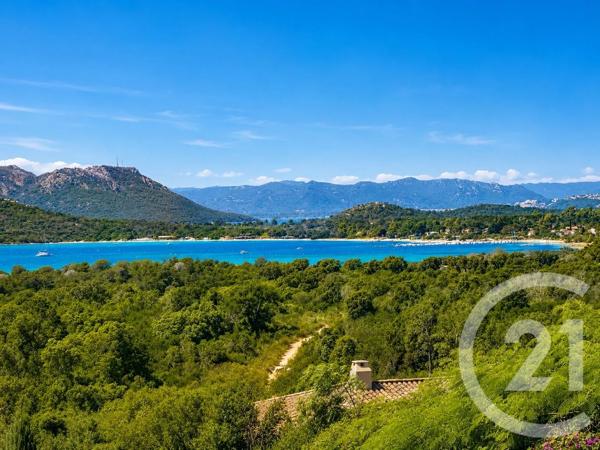 Maison à vendre  5 pièces - 143 m 2   ZONZA  - 201