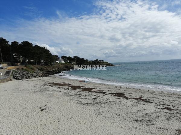 ARZON - Coup de coeur !