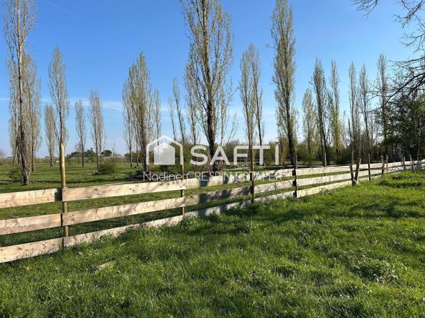 Moissac: Maison spacieuse sur plus de 2 hectares – Idéale pour accueillir vos chevaux