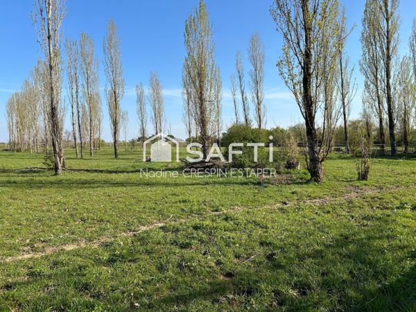 Moissac: Maison spacieuse sur plus de 2 hectares – Idéale pour accueillir vos chevaux
