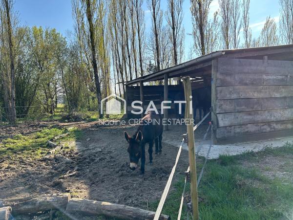 Moissac: Maison spacieuse sur plus de 2 hectares – Idéale pour accueillir vos chevaux