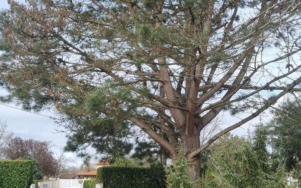 Maison à vendre    5 pièces • 135 m2 Saint-Nicolas-de-la-Grave