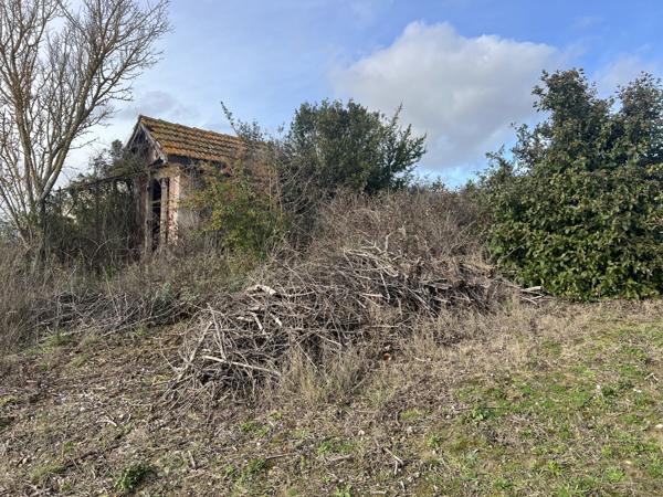 Cailhau (11240) EXCLUSIVITE - CAILHAU 11240 - PARCELLE DE 2550M2 AVEC VUE DEGAGEE SUR LES PYRENEES