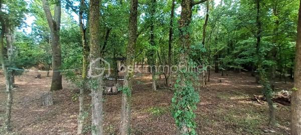 Coup de coeur assuré pour cette très agréable maison en lisière de bois, agrémentée d'une belle terrasse en tomettes, à deux pas du centre ville et de la gare, et de toutes les commodités. Vous serez séduits par le calme qui entoure cette maison, ainsi que par son jardin, telle une enclave dans le bourg de Mer. La pièce de vie offre 43 m² avec une tres belle cheminée. La cuisine, accueillante à souhait, invite déjà à des petits plats savoureux. Une suite parentale en rez de chaussée (chambre et salle de bain & douche) rend la maison très attractive. 3 chambres douillettes à l'étage et une salle d'eau avec wc permettent un espace distinct pour les enfants et les amis. Côté rangement, en sous-sol, on découvre une cave organisée avec rangements, une buanderie ultra pratique, une chaufferie-atelier, un grand garage, bref, tout pour bricoler et ranger chaque chose à sa place. Le jardin, quant à lui, vous accueille, tant sous les bois, qu'au soleil. Un carport peut servir également d'abris bois, selon vos priorités. Je vous laisse me contacter par téléphone au 06 73 33 04 75 pour échanger avec vous sur votre projet et ce délicieux lieu de vie. A bientôt, Blandine ALLOUIN