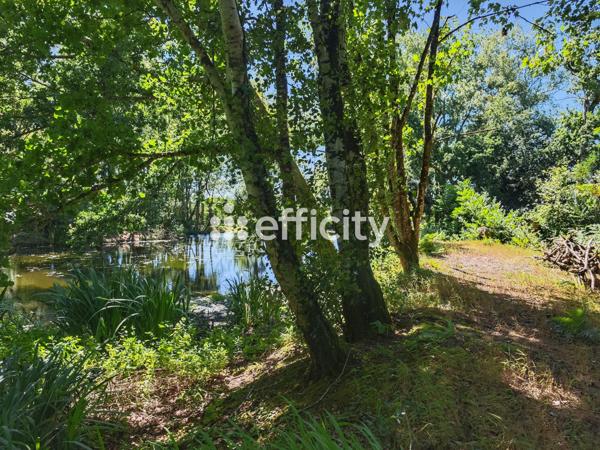 Maison 20 pièces - 466 m² Bien prestige