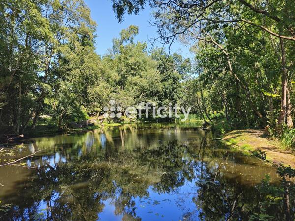 Maison 20 pièces - 466 m² Bien prestige