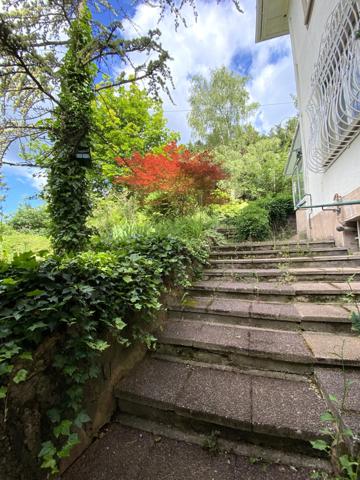 Obernai, superbe opportunité!