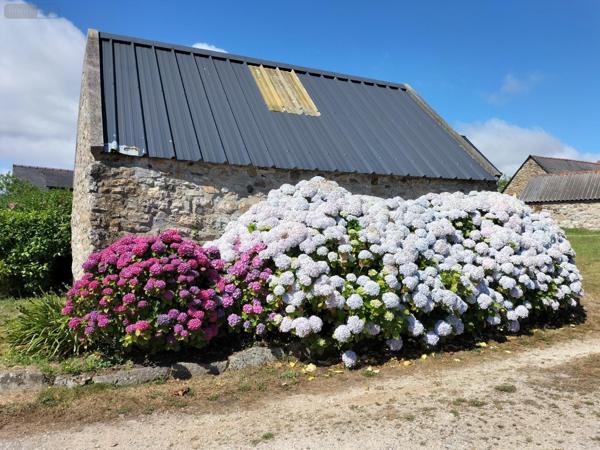 Maison à vendre à Crozon dans le Finistère (29160), ref : A202500159