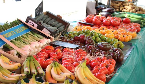 Dpt Rhône (69), à vendre SAINT DIDIER AU MONT D'OR appartement T4 de 103,3 m² - Terrain de 0