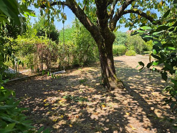 Maison Albi 4 pièce(s) 73m²