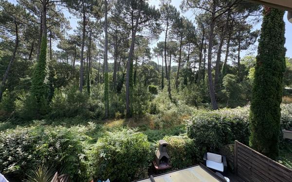 Appartement à vendre    3 pièces • 63 m2 Seignosse