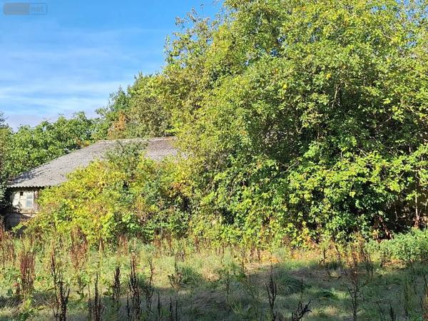 Achat - Maison Mauron 56430 3 pièces 60 m 2 2442 m 2