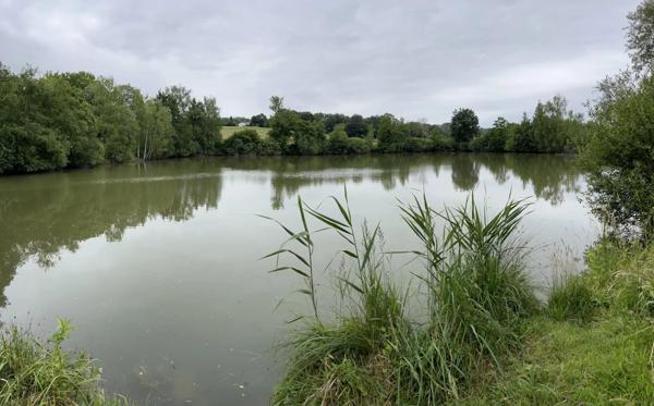 Vente Terrain 15129 m2 à Fismes