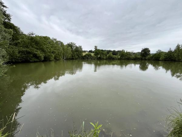 Vente Terrain 15129 m2 à Fismes