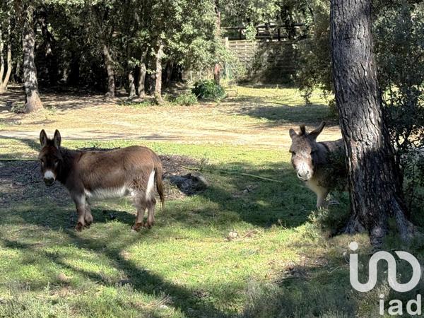 Maison à vendre 6 pièces 235 m² Saint-Mathieu-de-Tréviers