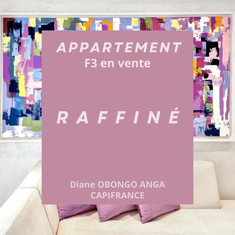 Appartement à vendre, 3 pièces rénovées avec deux Loggias, idéal pour une famille qui aime l'espace ou pour un bel investissement locatif