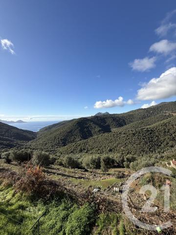 Appartement à vendre  6 pièces - 130 m2 AJACCIO - 201