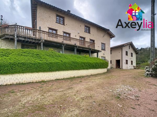 Dancé (42260) A VENDRE- VÉZELIN SUR LOIRE- PROPRIÉTÉ D'EXCEPTION AVEC VUE LOIRE-