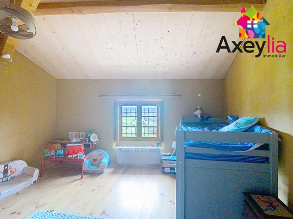 Dancé (42260) A VENDRE- VÉZELIN SUR LOIRE- PROPRIÉTÉ D'EXCEPTION AVEC VUE LOIRE-