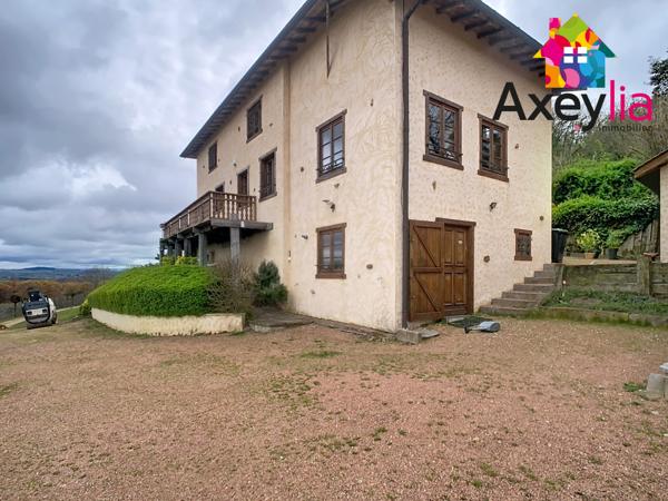 Dancé (42260) A VENDRE- VÉZELIN SUR LOIRE- PROPRIÉTÉ D'EXCEPTION AVEC VUE LOIRE-