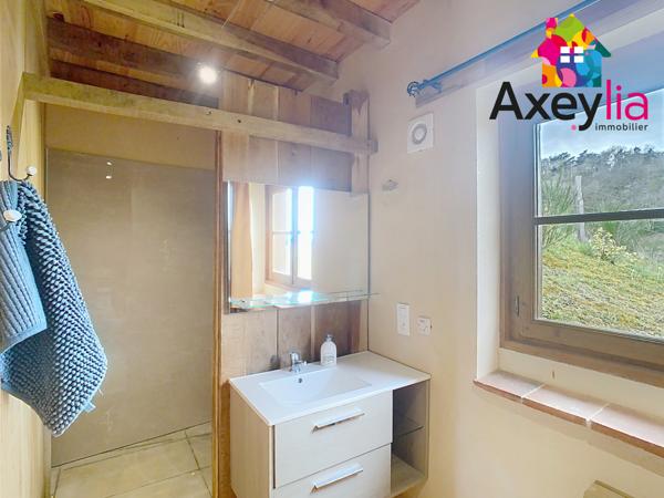 Dancé (42260) A VENDRE- VÉZELIN SUR LOIRE- PROPRIÉTÉ D'EXCEPTION AVEC VUE LOIRE-