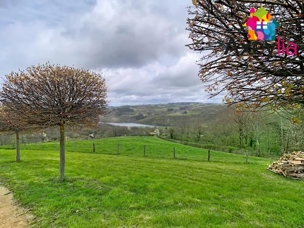 Dancé (42260) A VENDRE- VÉZELIN SUR LOIRE- PROPRIÉTÉ D'EXCEPTION AVEC VUE LOIRE-