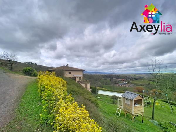 Dancé (42260) A VENDRE- VÉZELIN SUR LOIRE- PROPRIÉTÉ D'EXCEPTION AVEC VUE LOIRE-