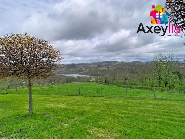 Dancé (42260) A VENDRE- VÉZELIN SUR LOIRE- PROPRIÉTÉ D'EXCEPTION AVEC VUE LOIRE-