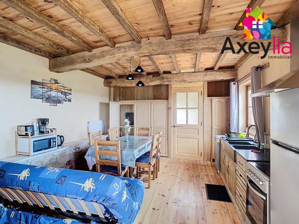 Dancé (42260) A VENDRE- VÉZELIN SUR LOIRE- PROPRIÉTÉ D'EXCEPTION AVEC VUE LOIRE-