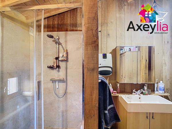 Dancé (42260) A VENDRE- VÉZELIN SUR LOIRE- PROPRIÉTÉ D'EXCEPTION AVEC VUE LOIRE-