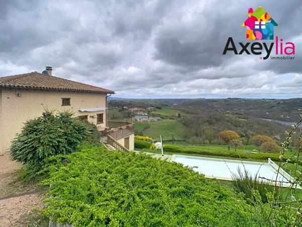 Dancé (42260) A VENDRE- VÉZELIN SUR LOIRE- PROPRIÉTÉ D'EXCEPTION AVEC VUE LOIRE-