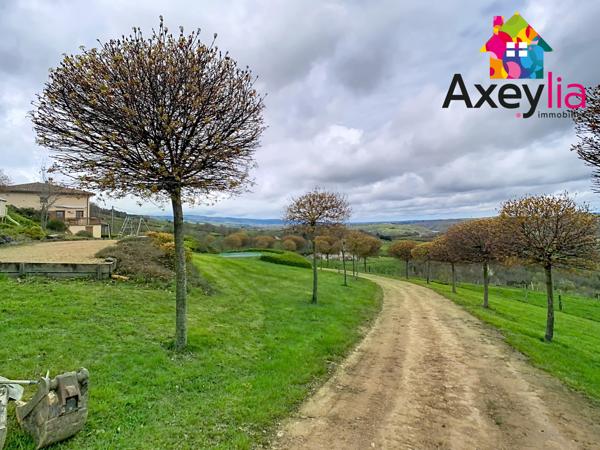 Dancé (42260) A VENDRE- VÉZELIN SUR LOIRE- PROPRIÉTÉ D'EXCEPTION AVEC VUE LOIRE-