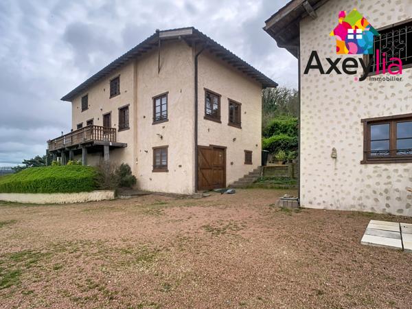 Dancé (42260) A VENDRE- VÉZELIN SUR LOIRE- PROPRIÉTÉ D'EXCEPTION AVEC VUE LOIRE-