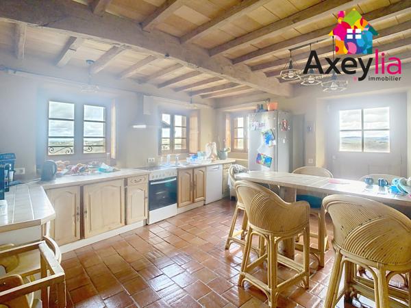 Dancé (42260) A VENDRE- VÉZELIN SUR LOIRE- PROPRIÉTÉ D'EXCEPTION AVEC VUE LOIRE-