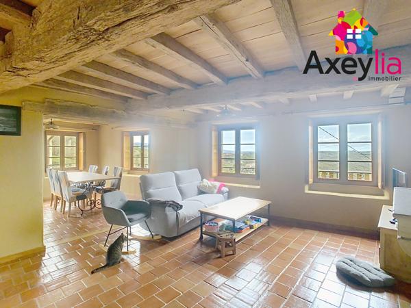 Dancé (42260) A VENDRE- VÉZELIN SUR LOIRE- PROPRIÉTÉ D'EXCEPTION AVEC VUE LOIRE-