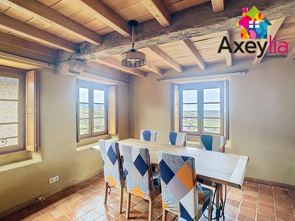 Dancé (42260) A VENDRE- VÉZELIN SUR LOIRE- PROPRIÉTÉ D'EXCEPTION AVEC VUE LOIRE-